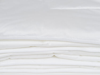 Одеяло Nature’S-Natura Sanat Шелковая идея легкое 160х210