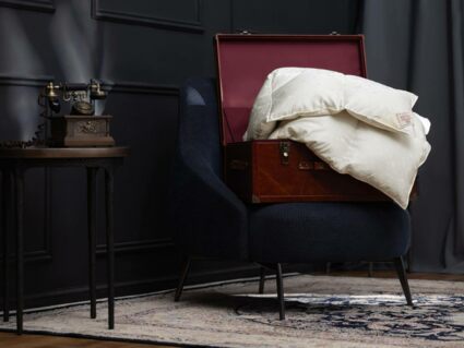 Одеяло German Grass EXCLUSIVE SILK EIDER DOWN теплое 240х260