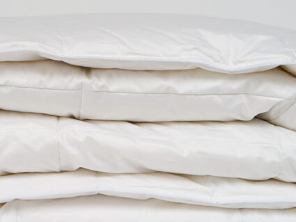 Одеяло Nature’S-Natura Sanat Воздушный пух всесезонное 220х240