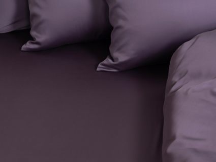 Простыня German Grass Violet Brilliant Grass классическая 240х260