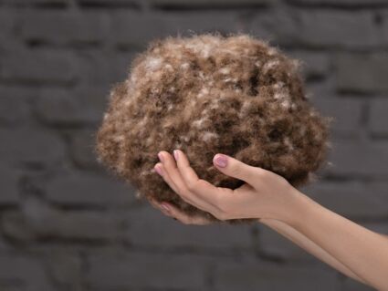 Одеяло German Grass EXCLUSIVE COTTON EIDER DOWN всесезонное 240х260