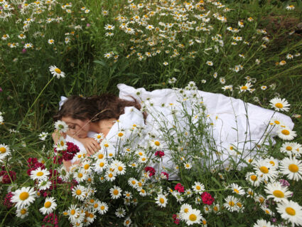 Одеяло Nature’S-Natura Sanat Традиционная классика всесезонное 240х260