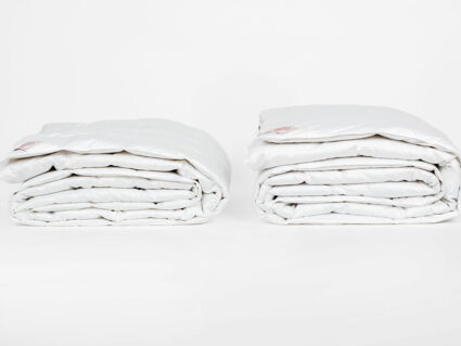 Одеяло German Grass Silver Down Grass всесезонное Light 160х220