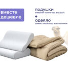 Одеяло Димакс Верблюд всесезонное + 2 подушки Sleeptek Norma-GEL BIG 172х205