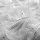 Подушка Nature’S-Natura Sanat Люкс 50х70