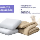 Одеяло Димакс Верблюд всесезонное + 2 подушки Sleeptek Norma-GEL 172х205